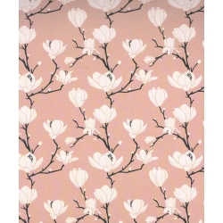 Magnolias 3